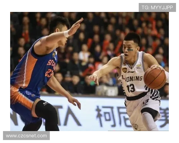 2015年CBA湖南篮球队完整名单及赛季回顾 2015年CBA湖南篮球队完整名单及赛季回顾