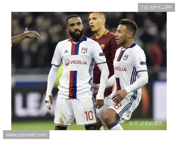 2024-2025赛季法甲联赛全面统计数据解析