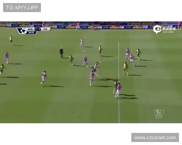 英超水晶宫足球队发展历程及赛场表现分析