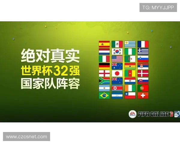 FIFA2010世界杯下载完整版资源获取与安装指南全教程分享